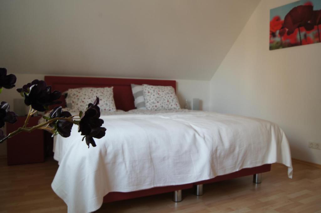 Bed And Breakfast Ammeloe Vreden Exterior photo